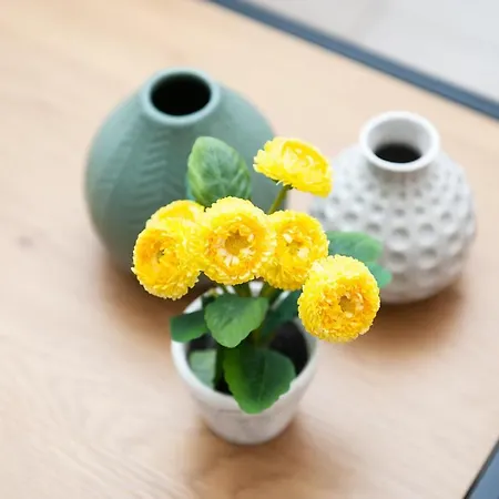 Stylish Apartamento